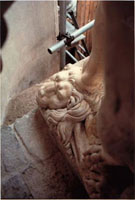 Particolare Ercole: pelle di leone ai piedi della statua
